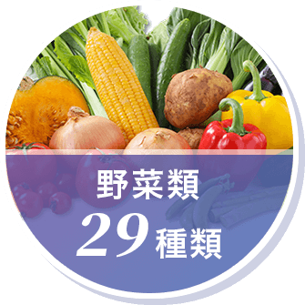 野菜類29種類