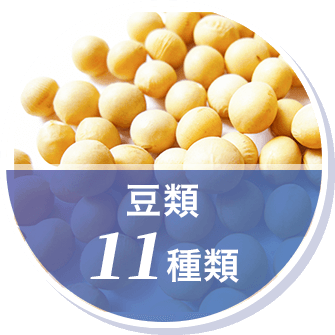 豆類 11種類
